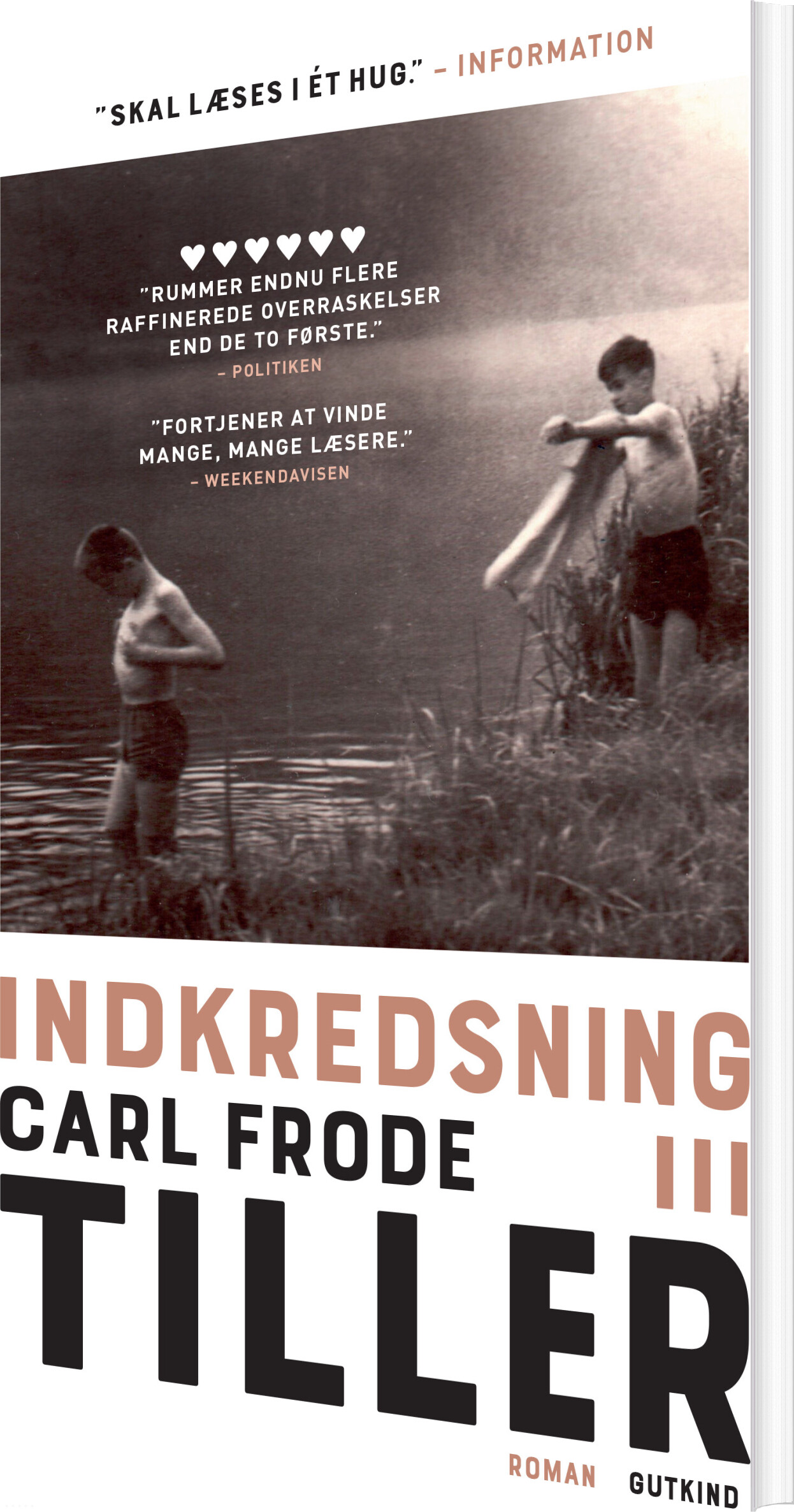 Billede af Indkredsning Iii - Carl Frode Tiller - Bog