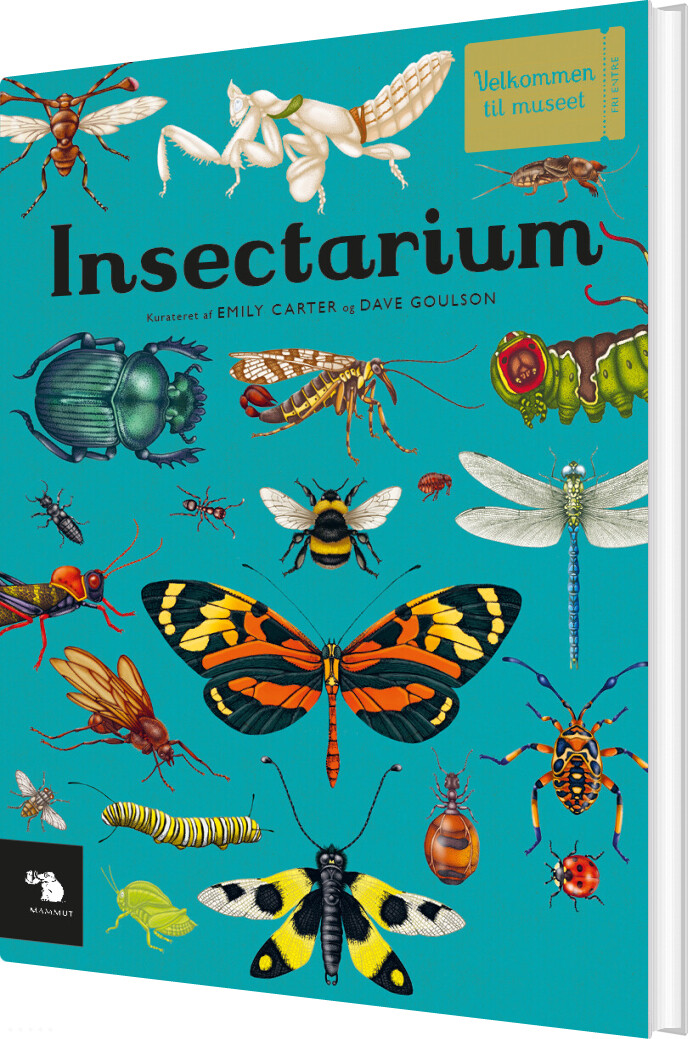 Insectarium - Dave Goulson - Bog