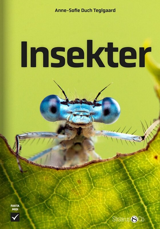 Insekter - Anne-sofie Duch Teglgaard - Bog - Straarup & Co