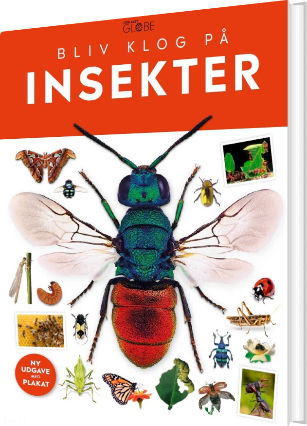 Billede af Insekter - Diverse - Bog