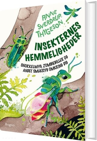 Billede af Insekternes Hemmeligheder - Anne Sverdrup-thygeson - Bog