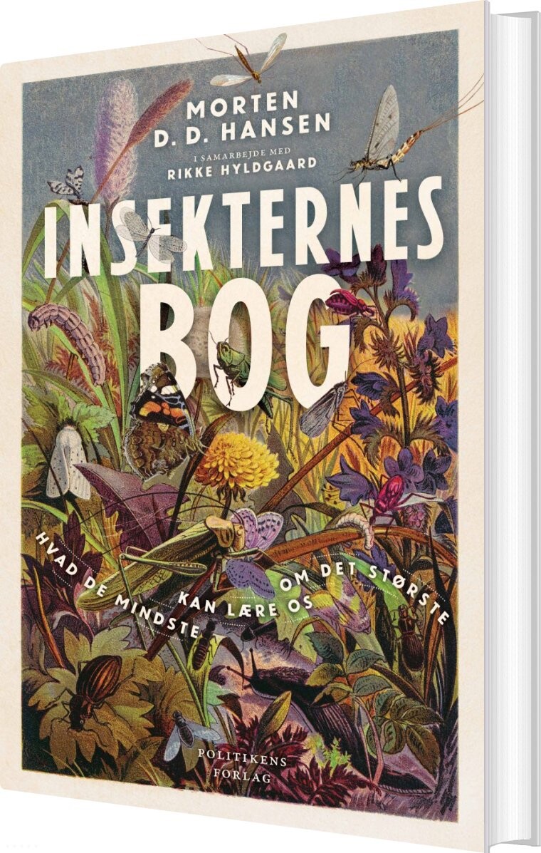 Billede af Insekternes Bog - Morten D.d. Hansen - Bog