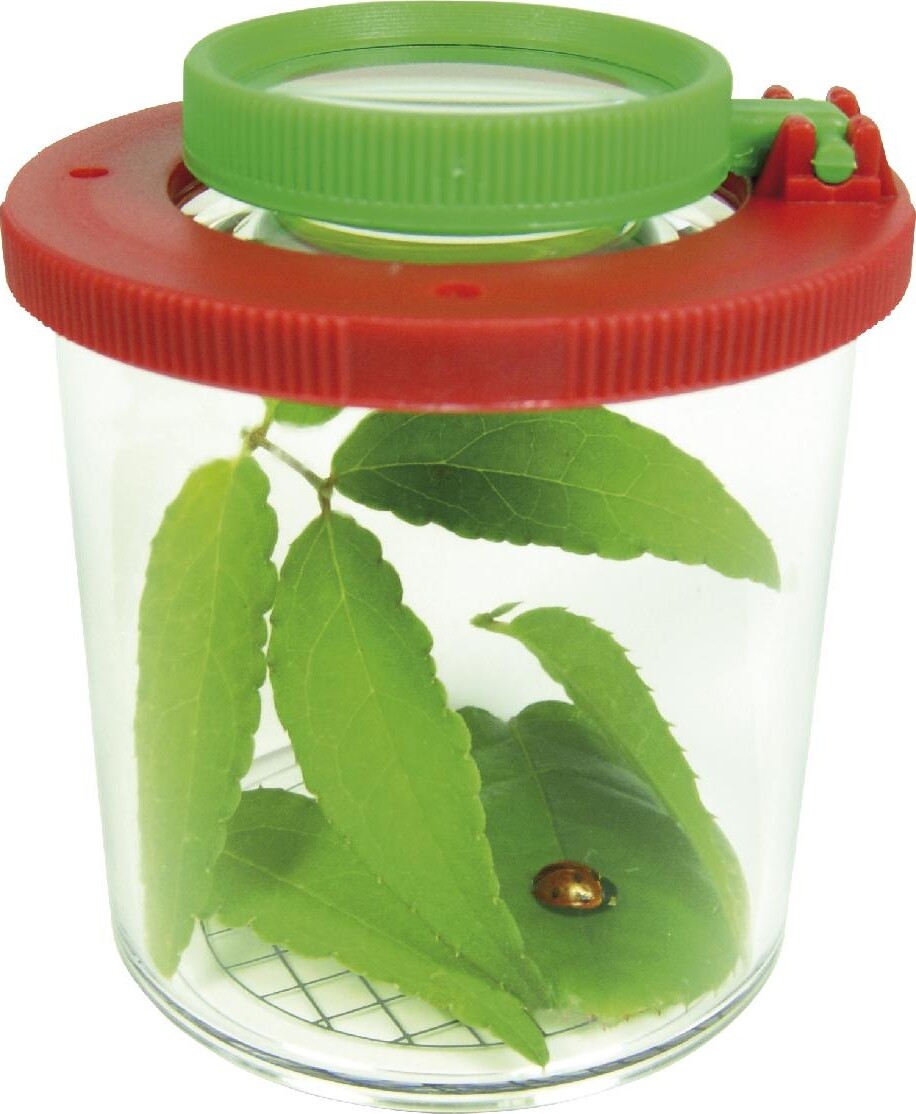 Insektglas Med Lup - Stor