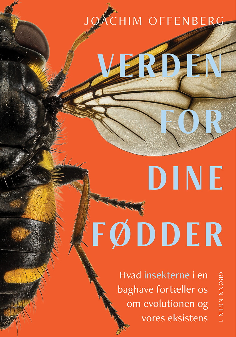Verden For Dine Fødder - Joachim Offenberg - Bog