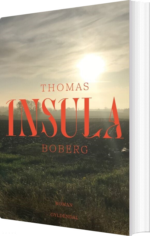 Billede af Insula - Thomas Boberg - Bog