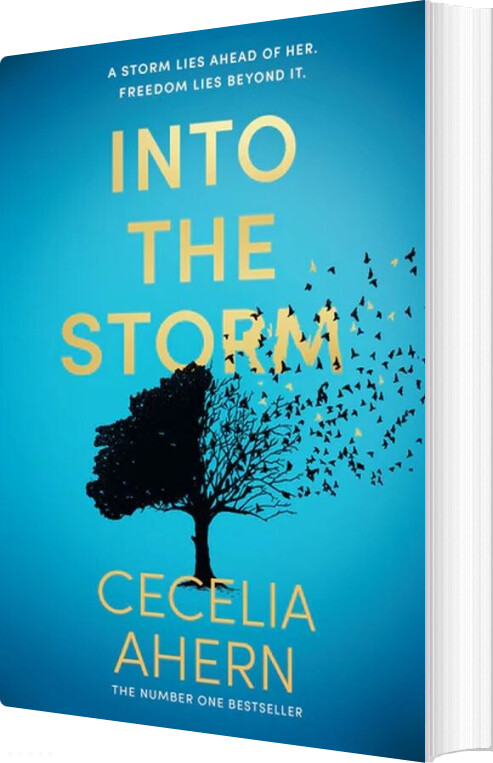 Billede af Into The Storm - Cecelia Ahern - English Book