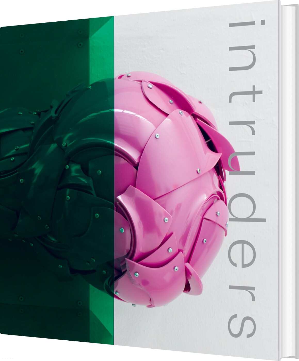 Intruders - Bjørn Poulsen - Bog