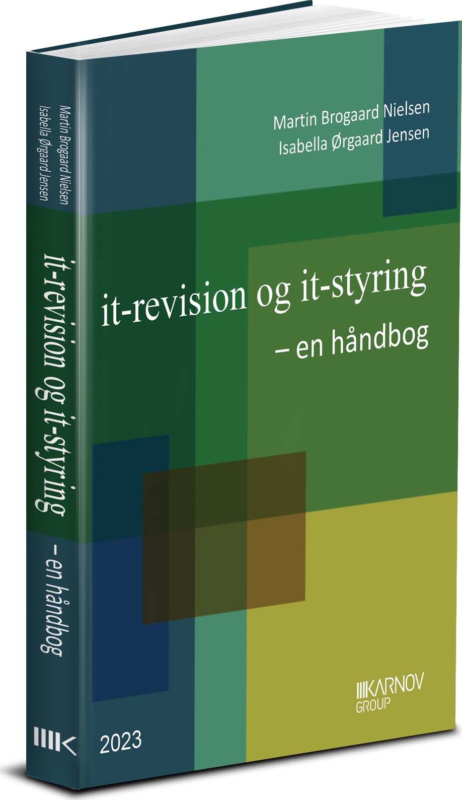 It-revision Og It-styring - En Håndbog - Martin Brogaard Nielsen - Bog