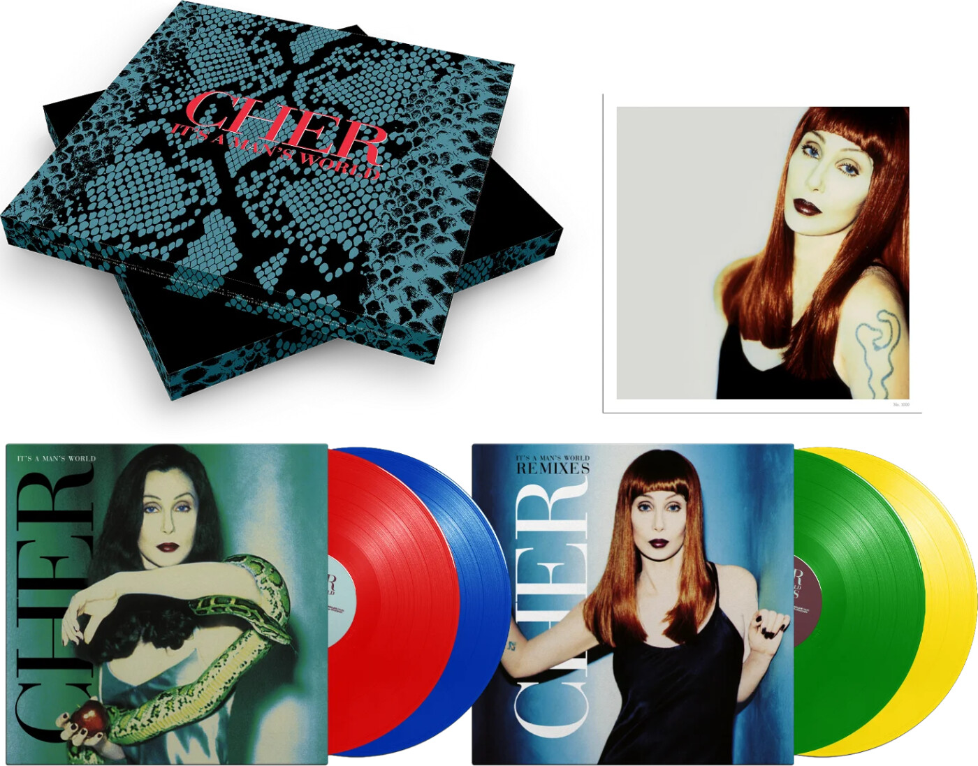 Cher - It's A Man's World - Vinyl Lp