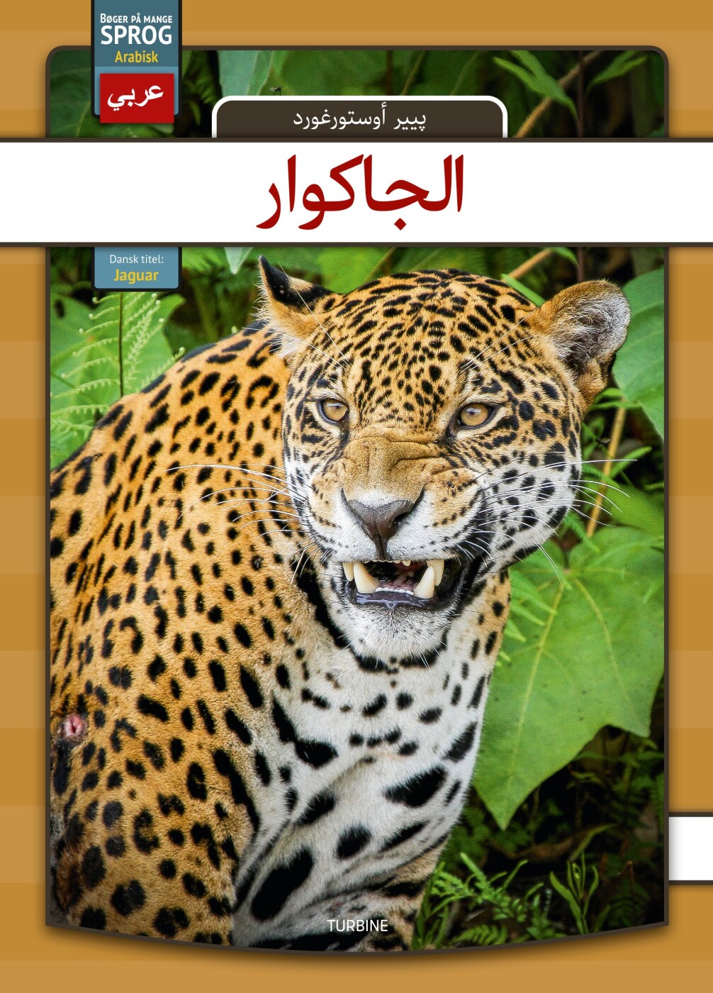 Jaguar - Arabisk - Per østergaard - Arabisk Bog