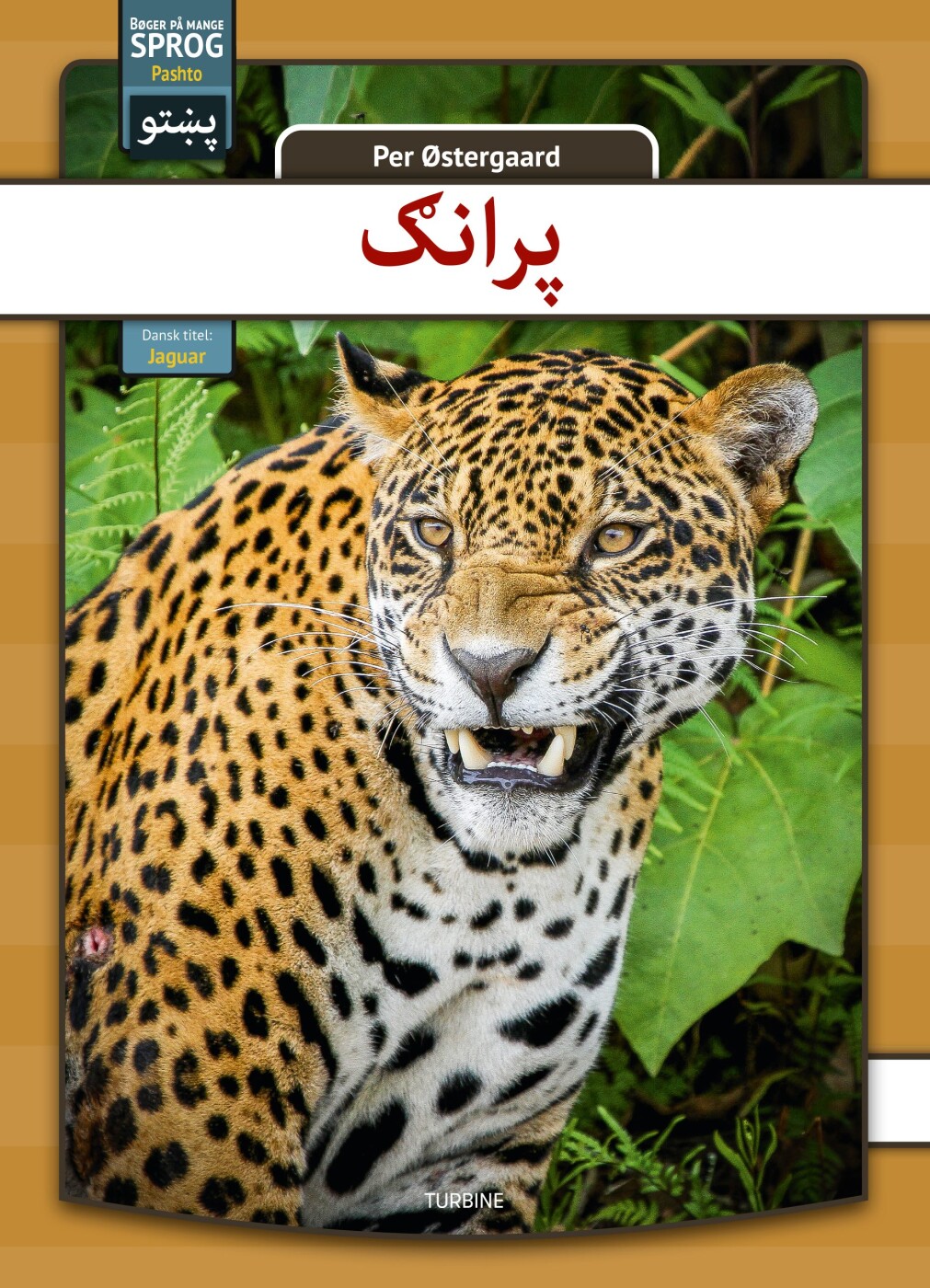 Jaguar - Pashto - Per østergaard - Bog