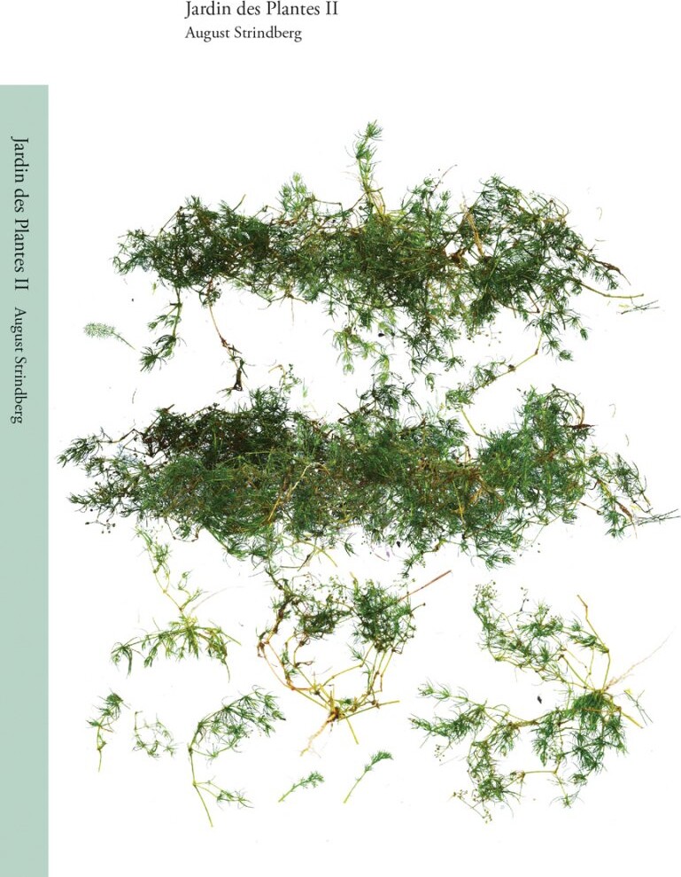 Billede af Jardin Des Plantes Ii - August Strindberg - Svensk Bog