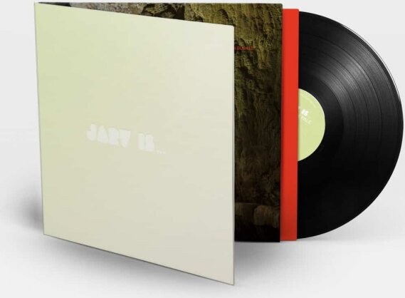 Beyond The Pale - Jarv Is... - Vinyl Lp