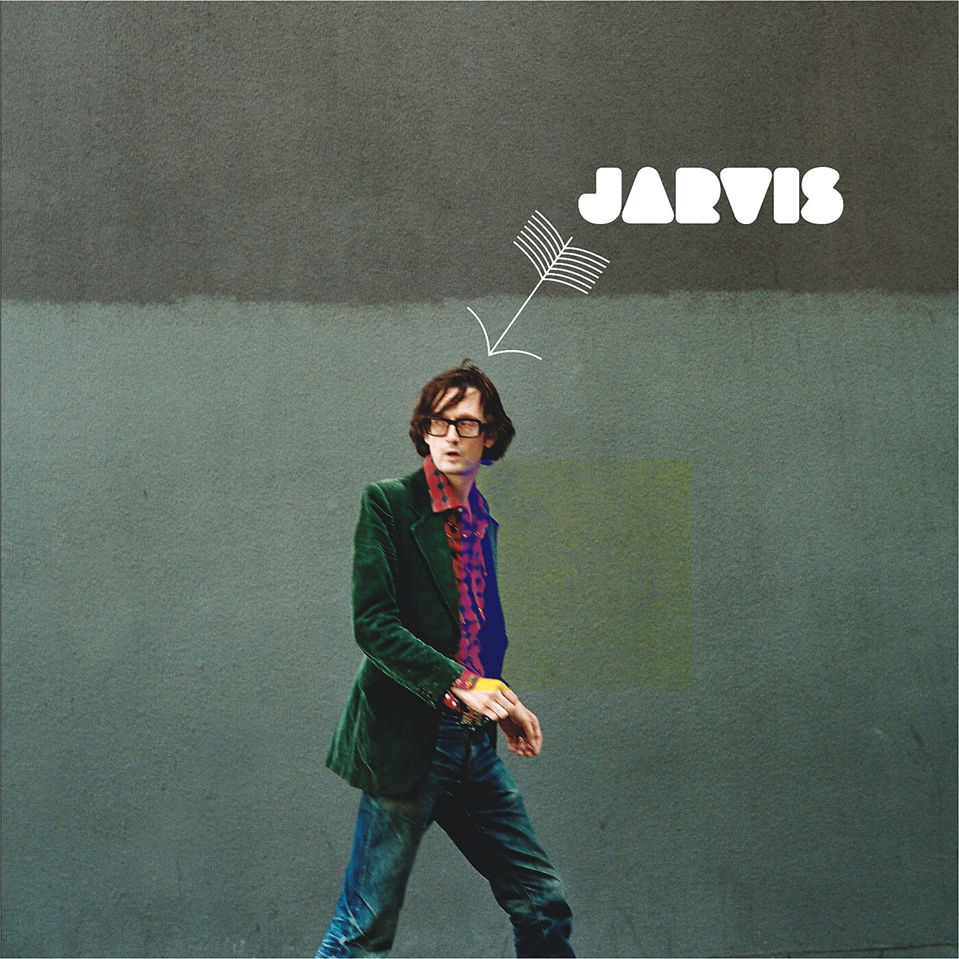 Jarvis Cocker - Jarvis - Vinyl Lp