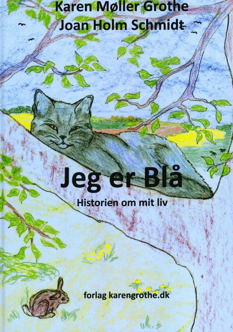 Billede af Jeg Er Blå - Karen Møller Grothe - Bog