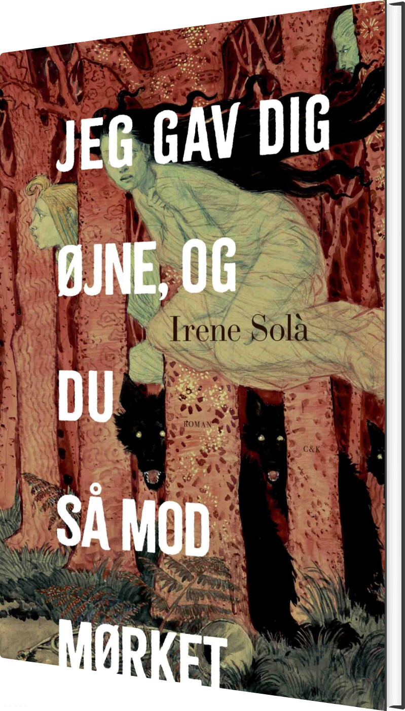 Jeg Gav Dig øjne, Og Du Så Mod Mørket - Irene Solà - Bog