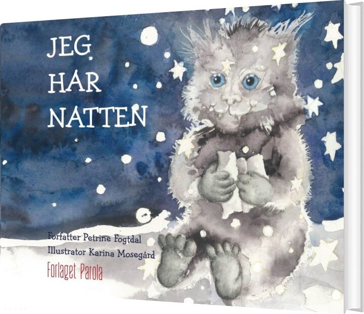 Billede af Jeg Har Natten - Petrine Fogtdal - Bog