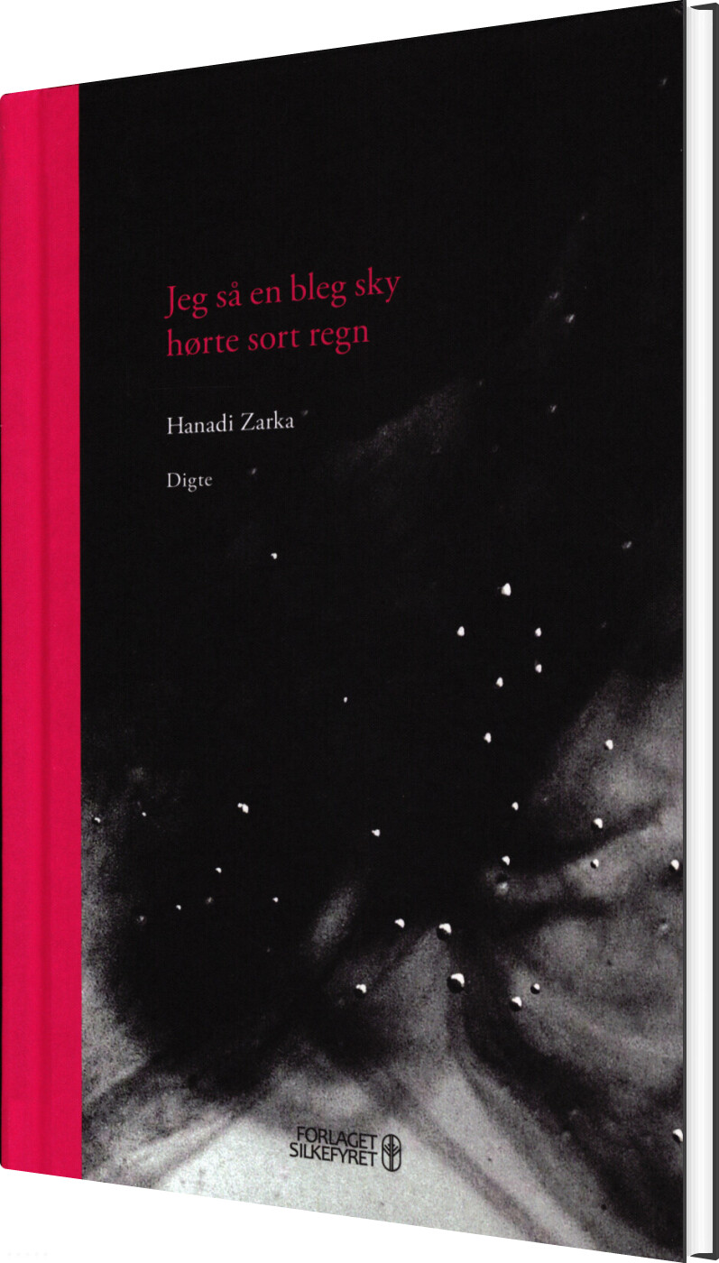 Billede af Jeg Så En Bleg Sky, Hørte Sort Regn - Hanadi Zarka - Bog