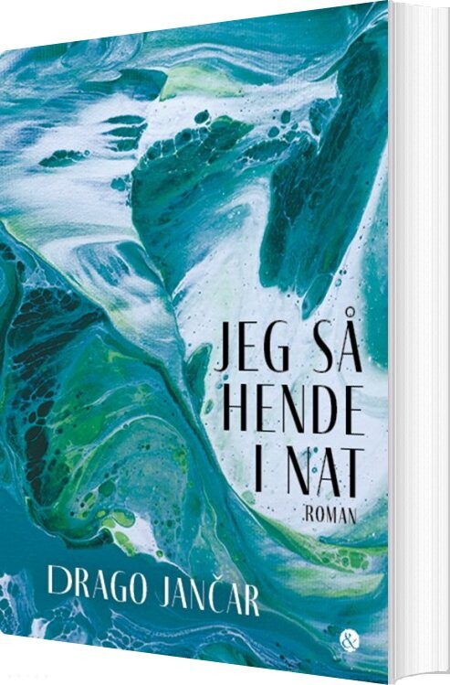 Billede af Jeg Så Hende I Nat - Drago Janar - Bog