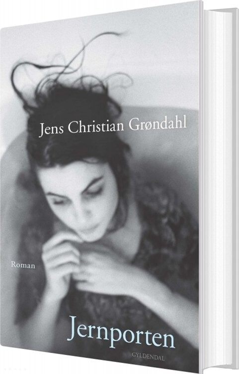 Billede af Jernporten - Jens Christian Grøndahl - Bog