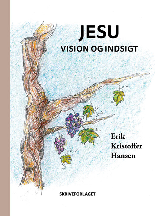 Billede af Jesu Vision Og Indsigt - Erik Kristoffer Hansen - Bog