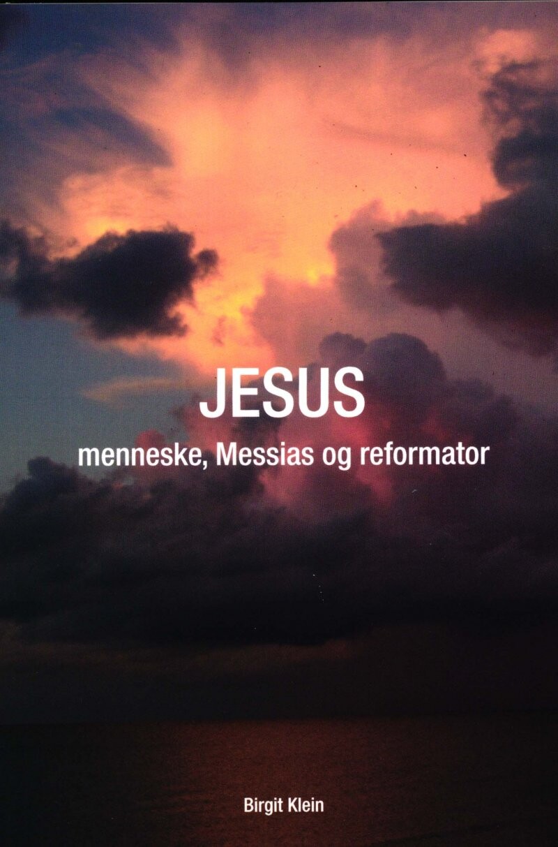 Billede af Jesus - Menneske, Messias Og Reformator - Birgit Klein - Bog