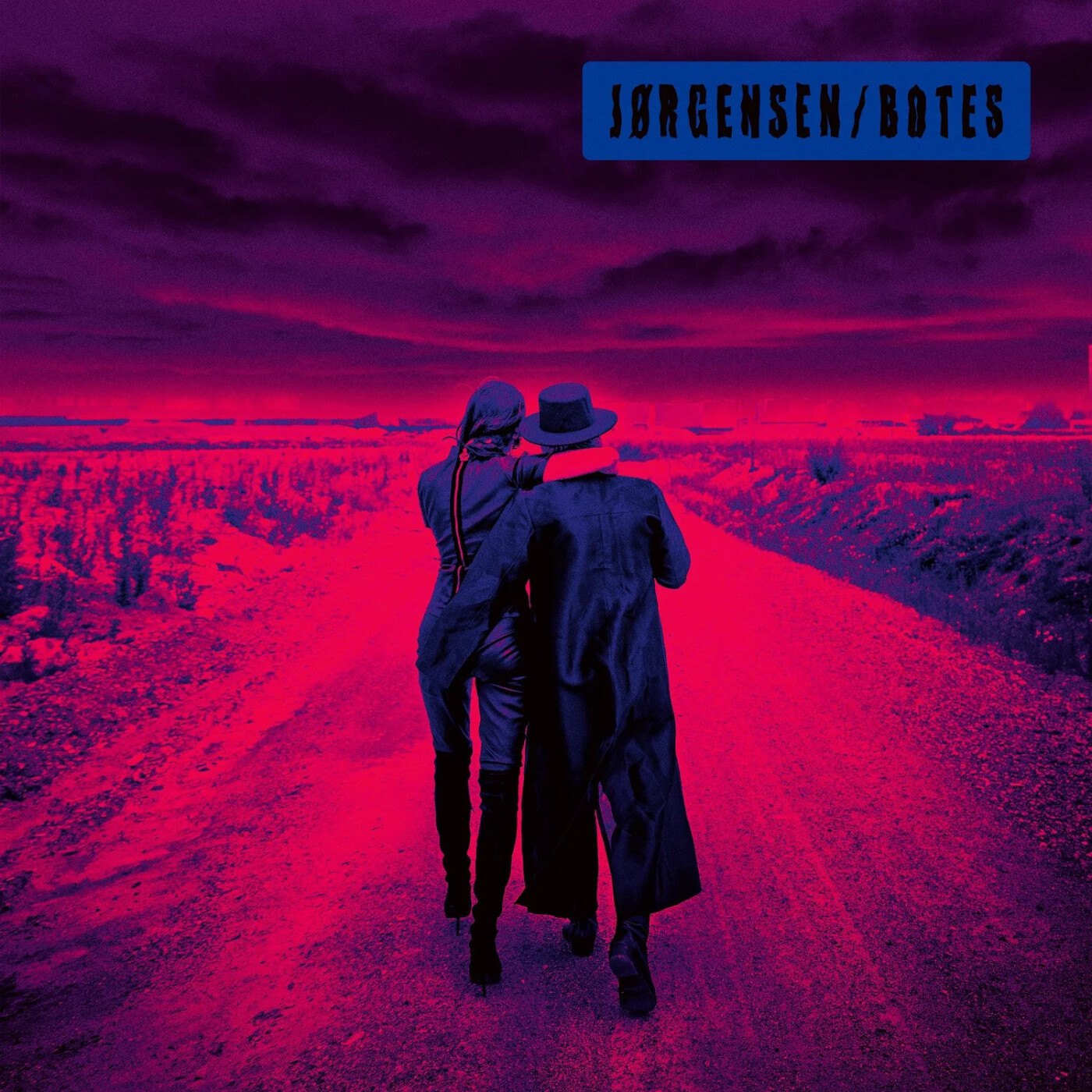 Steen Jørgensen Og Marina Botes - Jørgensen/botes - Vinyl Lp