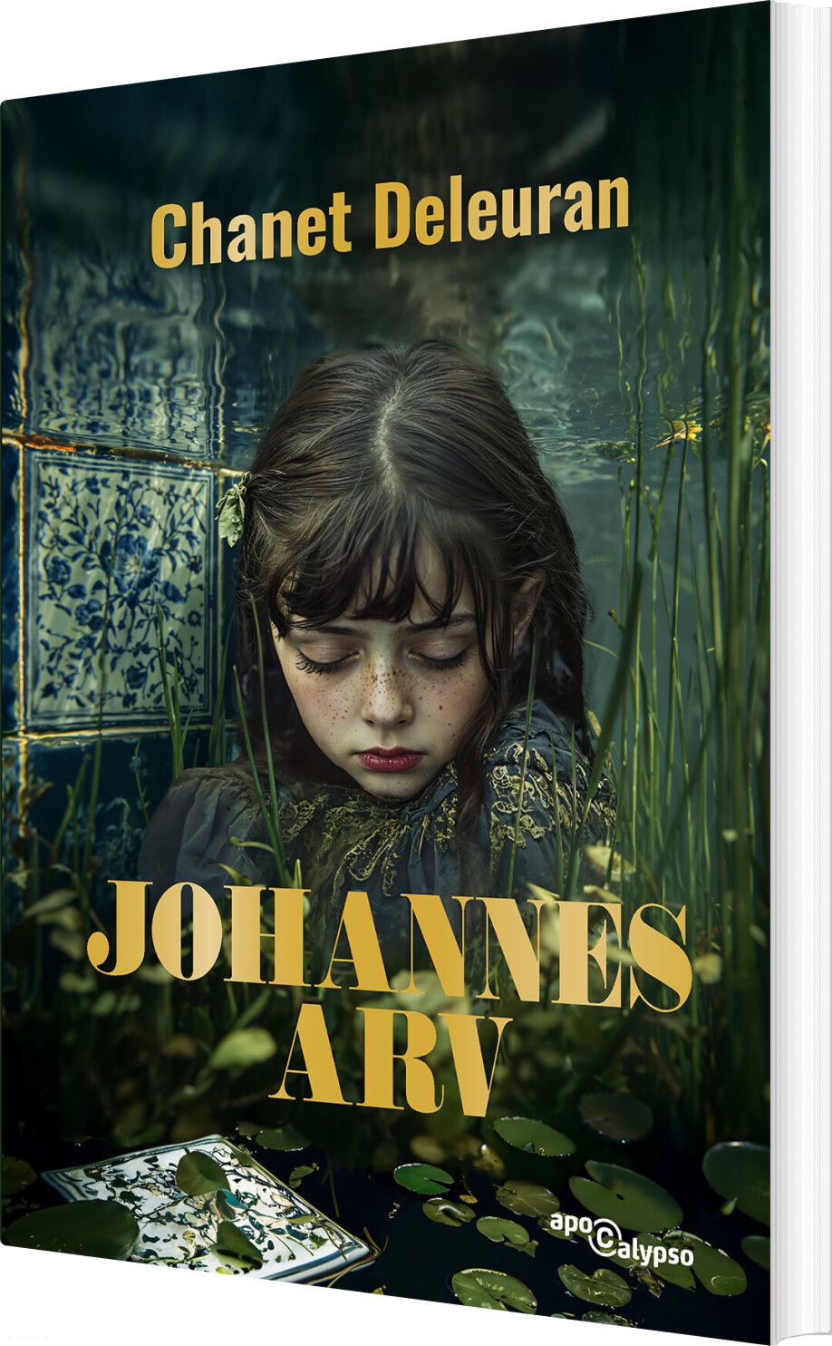 Johannes Arv - Chanet Deleuran - Bog