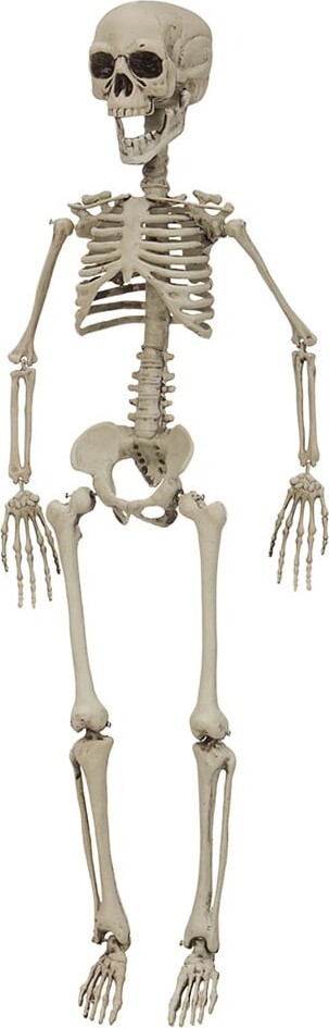 Halloween Skelet Dekoration - 76 Cm