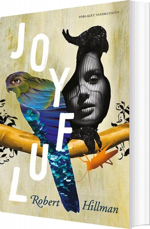 Joyful - Robert Hillman - Bog