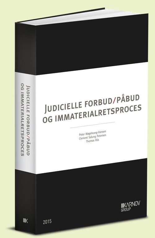 Judicielle Forbud/påbud Og Immaterialretsproces - Thomas Riis - Bog