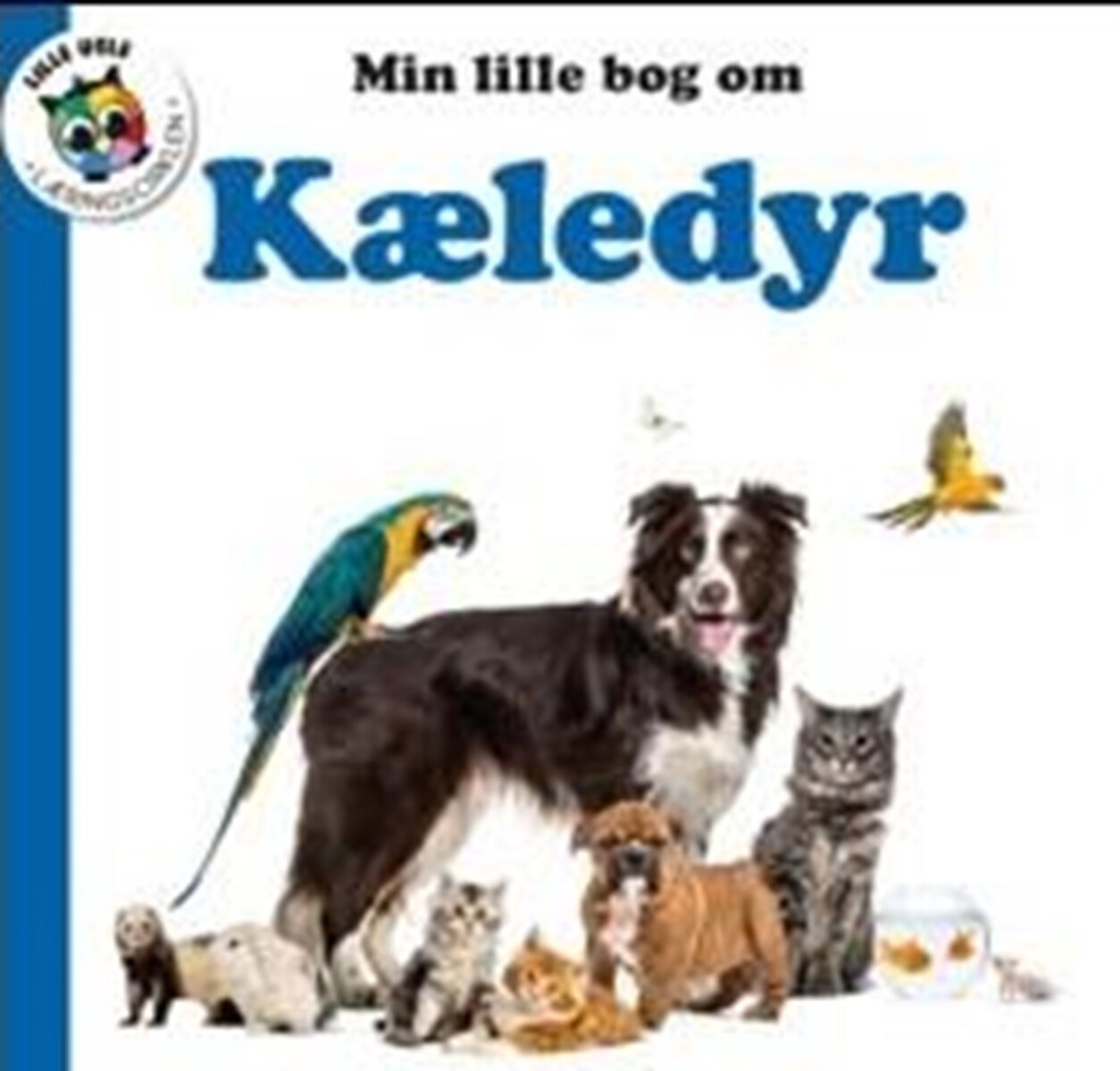 Billede af Kæledyr - Globe - Bog