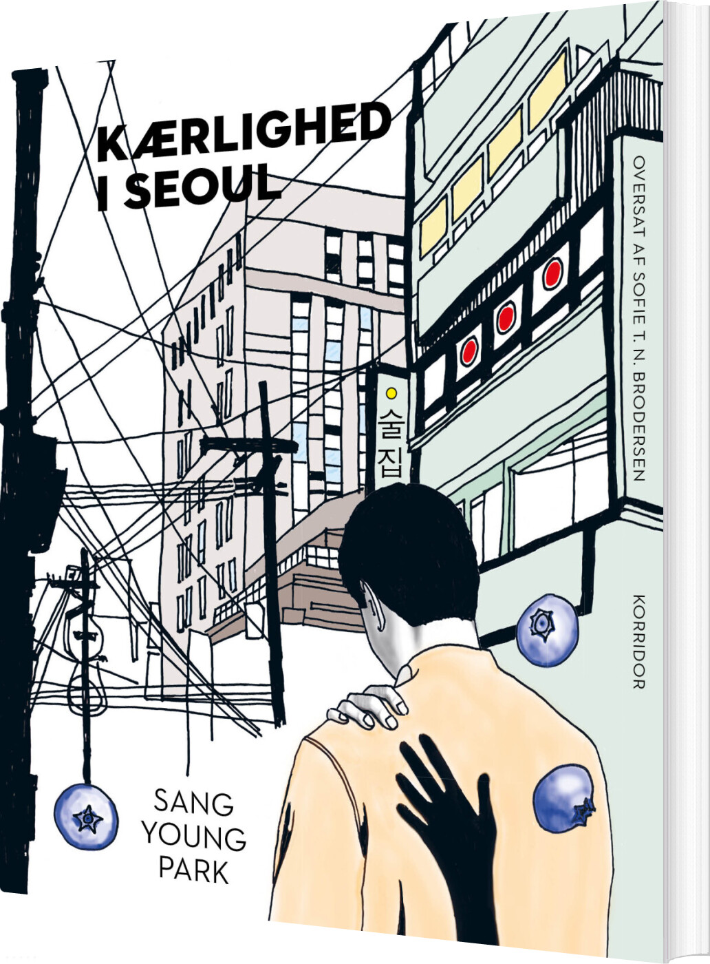 Kærlighed I Seoul - Sang Young Park - Bog