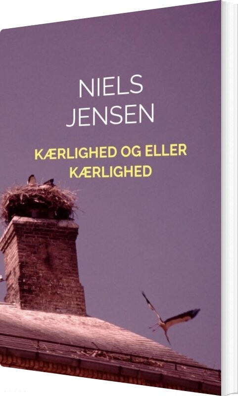Billede af Kærlighed Og Eller Kærlighed - Niels Jensen - Bog