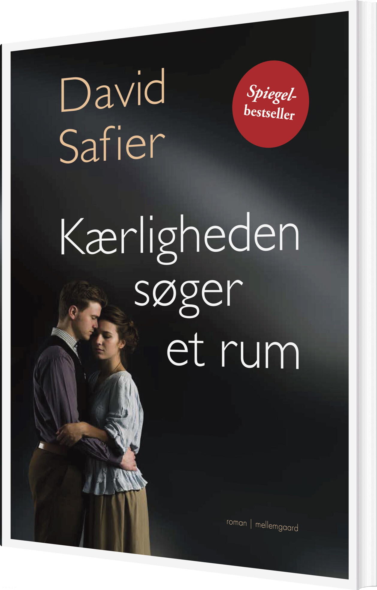 Kærligheden Søger Et Rum - David Safier - Bog
