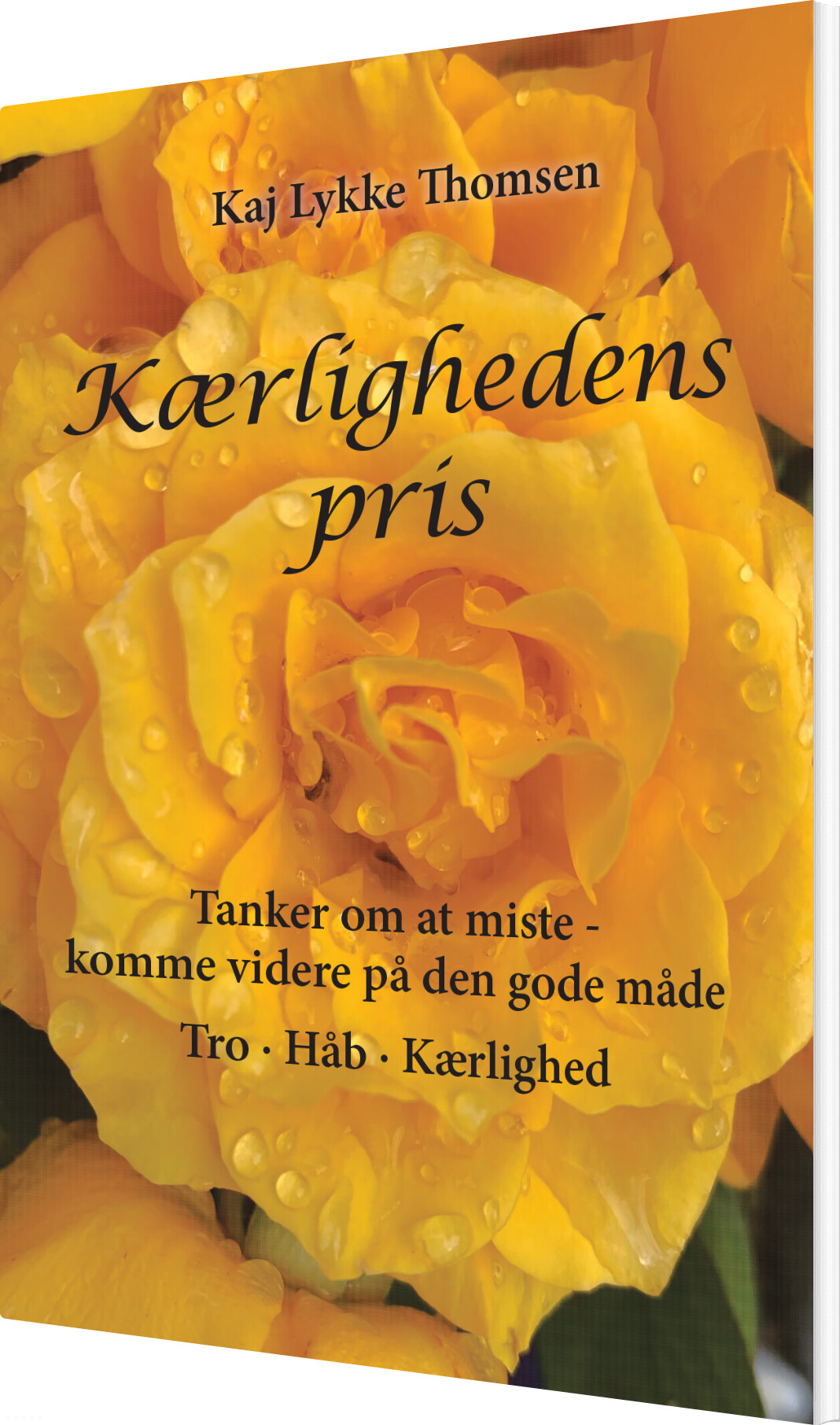 Kærlighedens Pris - Kaj Lykke Thomsen - Bog