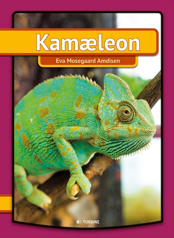 Billede af Kamæleon - Eva Mosegaard Amdisen - Bog