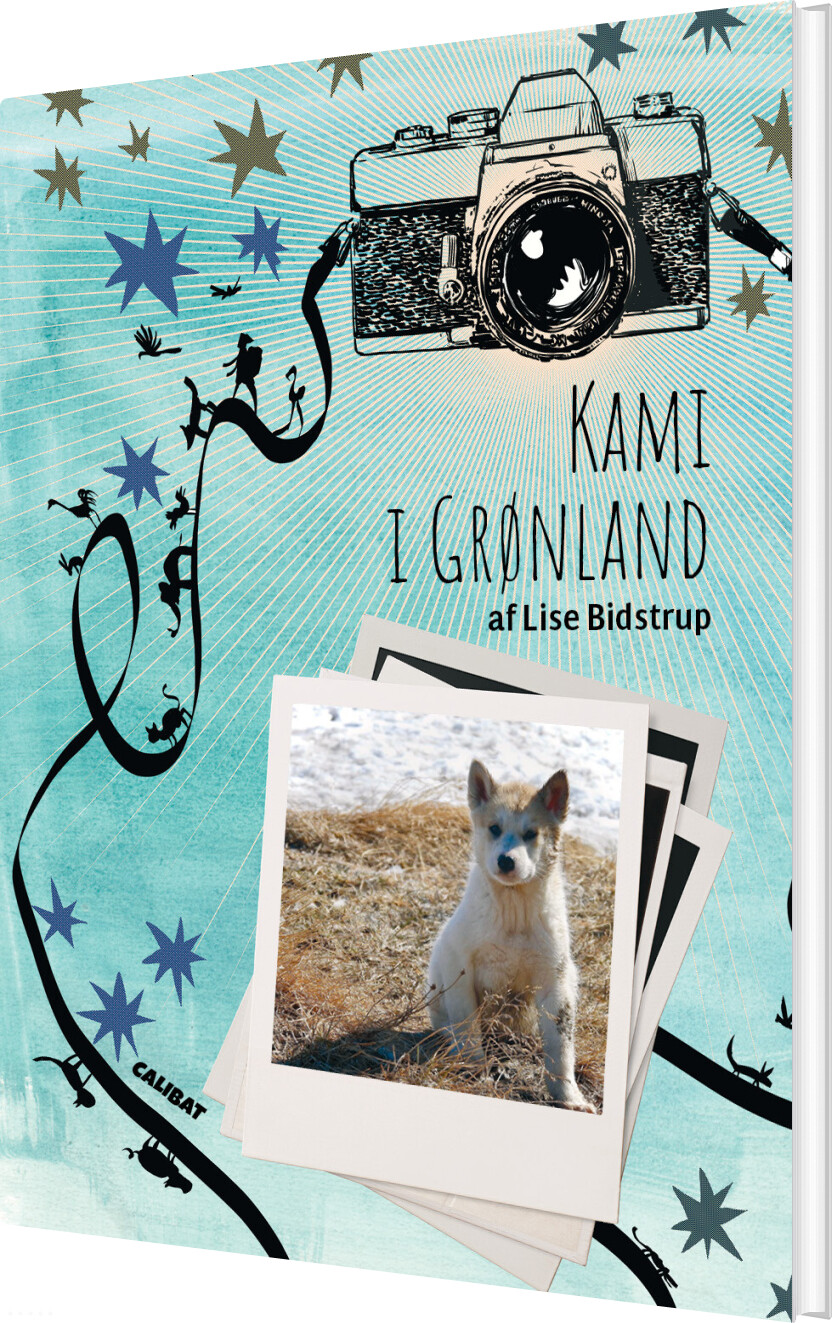 Kami I Grønland - Lise Bidstrup - Bog