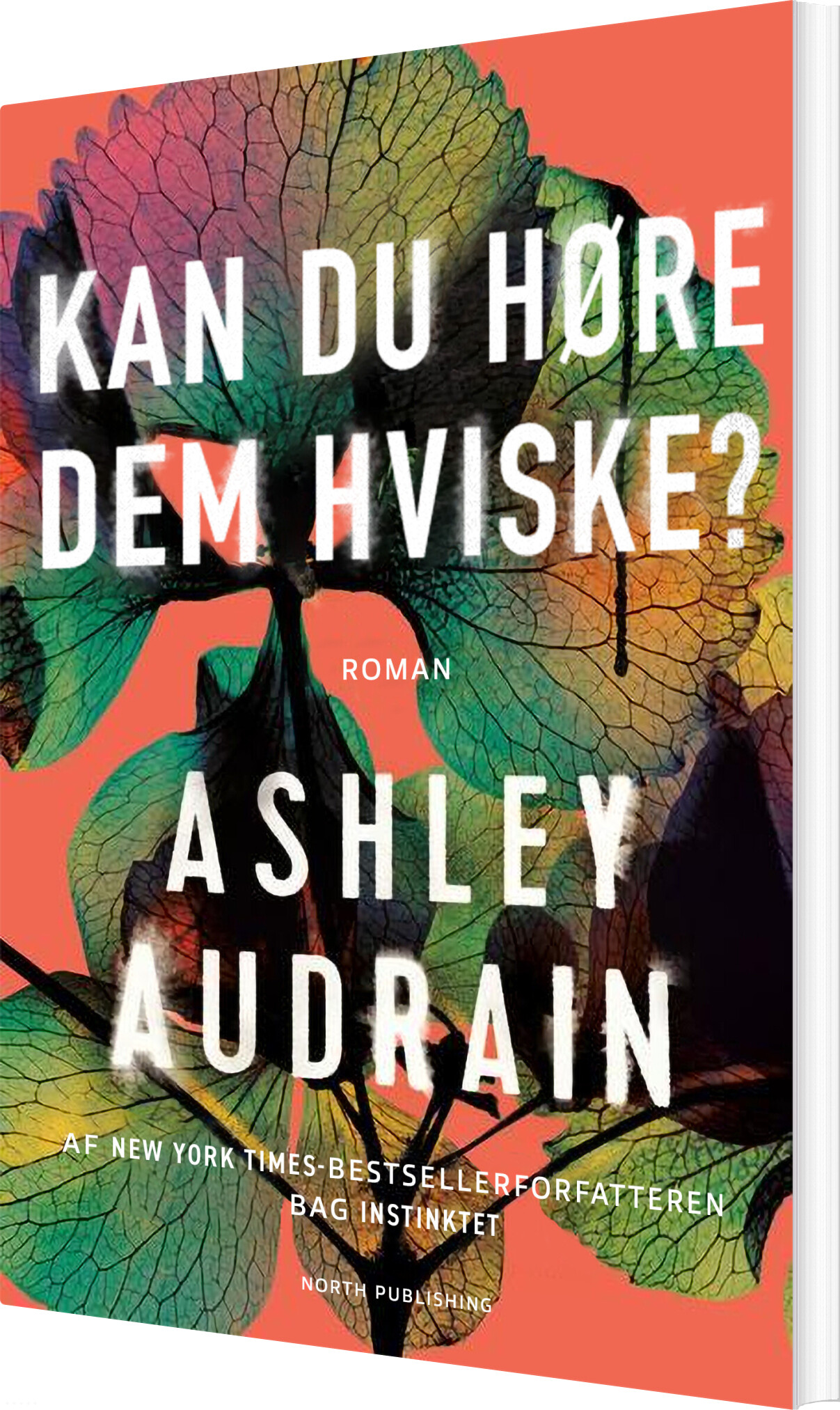 Kan Du Høre Dem Hviske? - Ashley Audrain - Bog