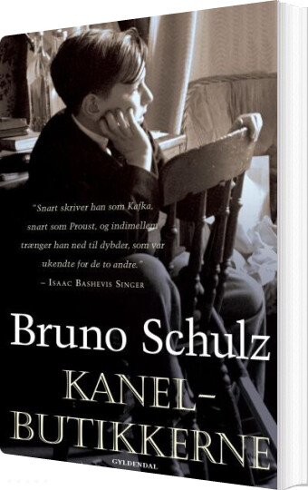 Kanelbutikkerne - Bruno Schulz - Bog
