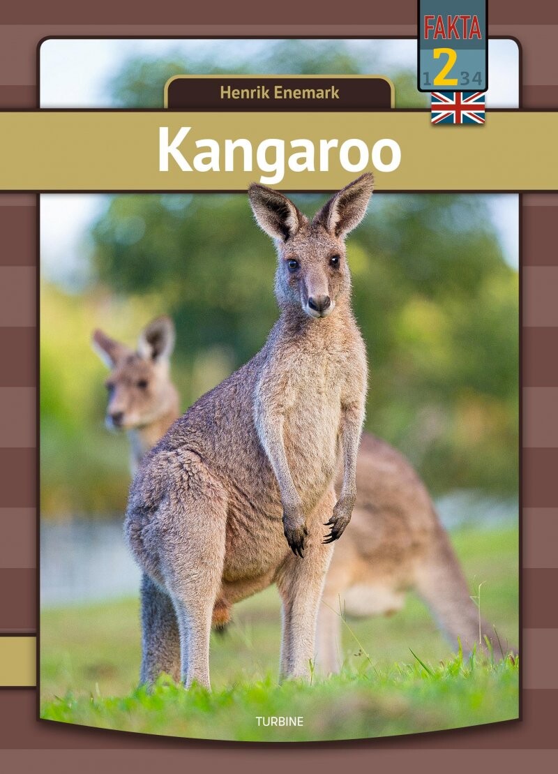 Billede af Kangaroo - Henrik Enemark - English Book