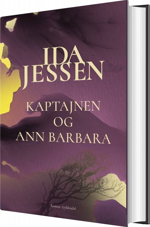 Billede af Kaptajnen Og Ann Barbara - Ida Jessen - Bog