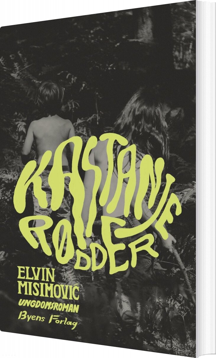 Kastanjerødder - Elvin Misimovi - Bog