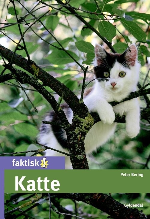 Katte - Peter Bering - Bog