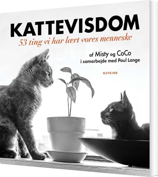 Kattevisdom - Coco - Bog