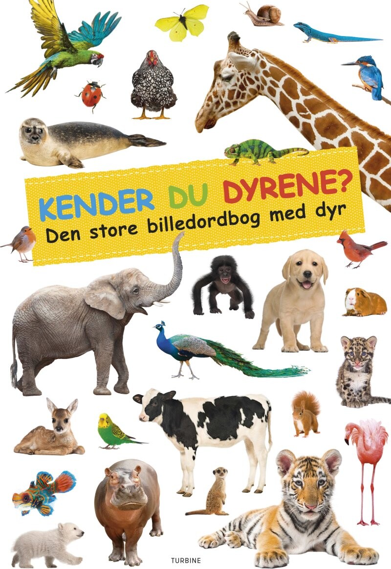 Billede af Kender Du Dyrene? - Diverse - Bog hos Gucca.dk