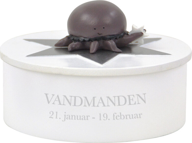 Kids By Friis - Stjernetegns Smykkeskrin - Vandmanden