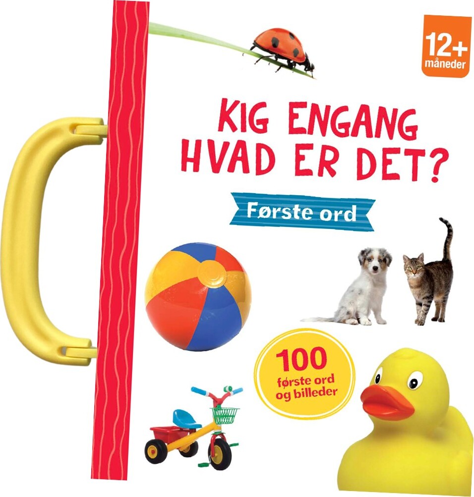 Kig Engang - Hvad Er Det? Første Ord - Bog