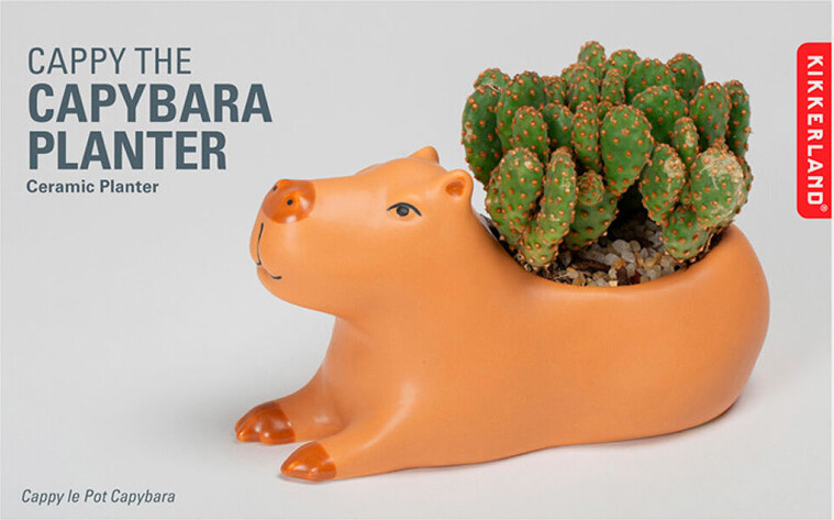 Kikkerland - Cappy Den Lille Kapivar-potteskjuler