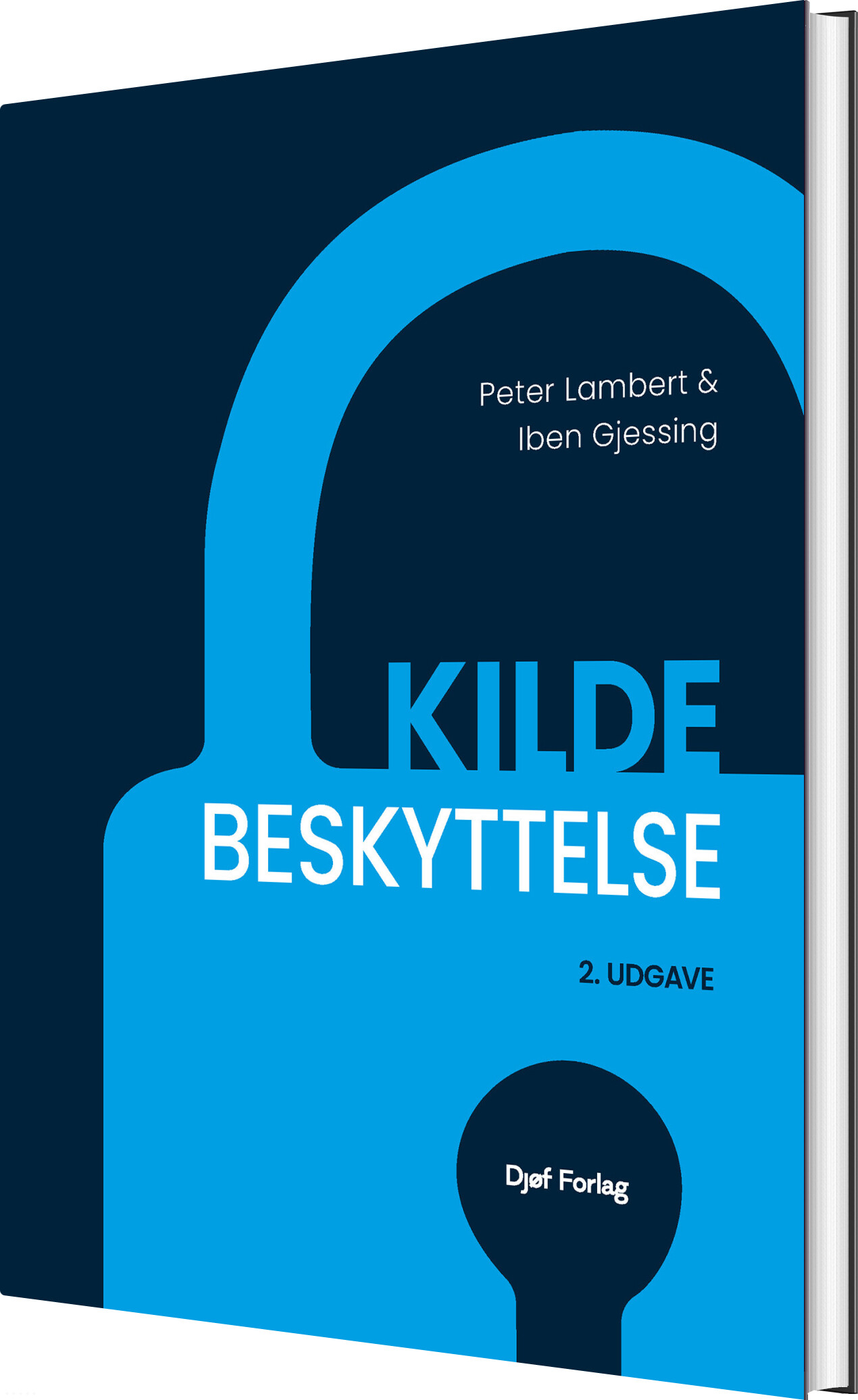 Kildebeskyttelse - Iben Gjessing - Bog